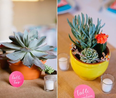 Succulent-and-cacti-wedding-centerpieces